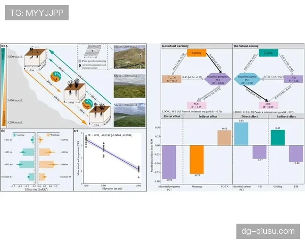 巴尔科拉状态起伏的根源与改善路径分析