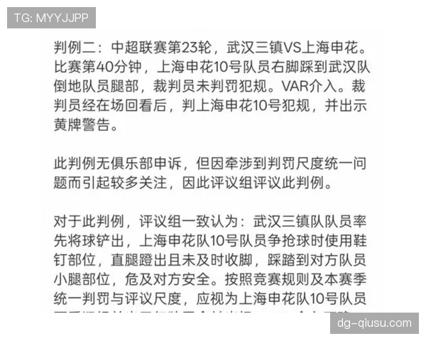 严重犯规的判罚依据与红黄牌判定标准