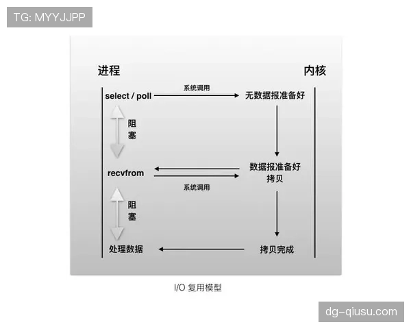 I组积分模型预测结果