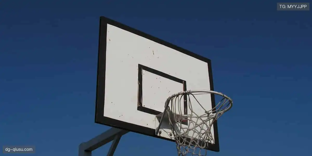 随时随地，直击赛场！📱🎯